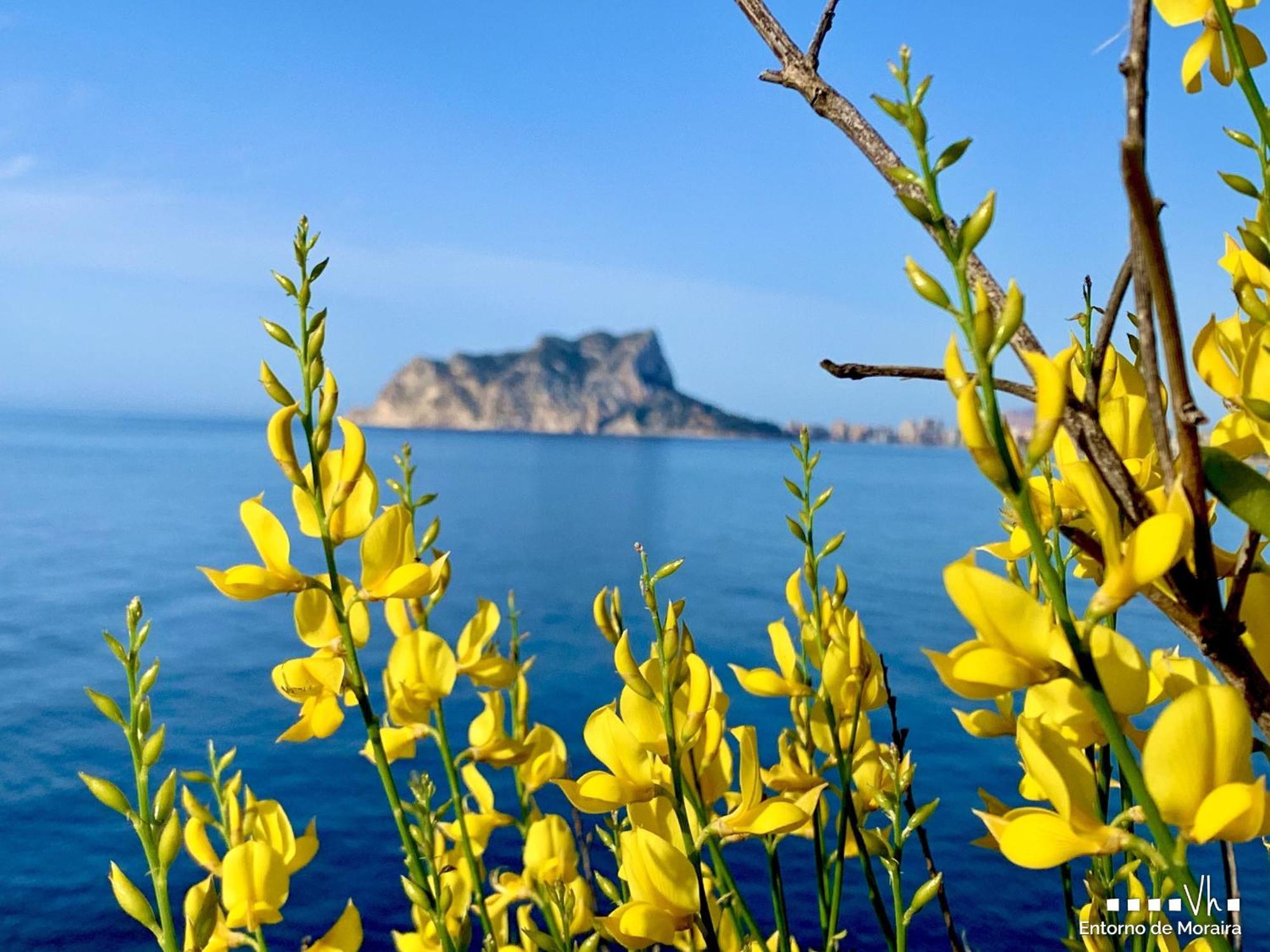 Vh Costablanca - Eva Villa Calpe Ngoại thất bức ảnh